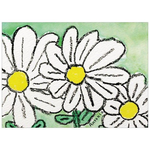 Trio of Daisies 8 count