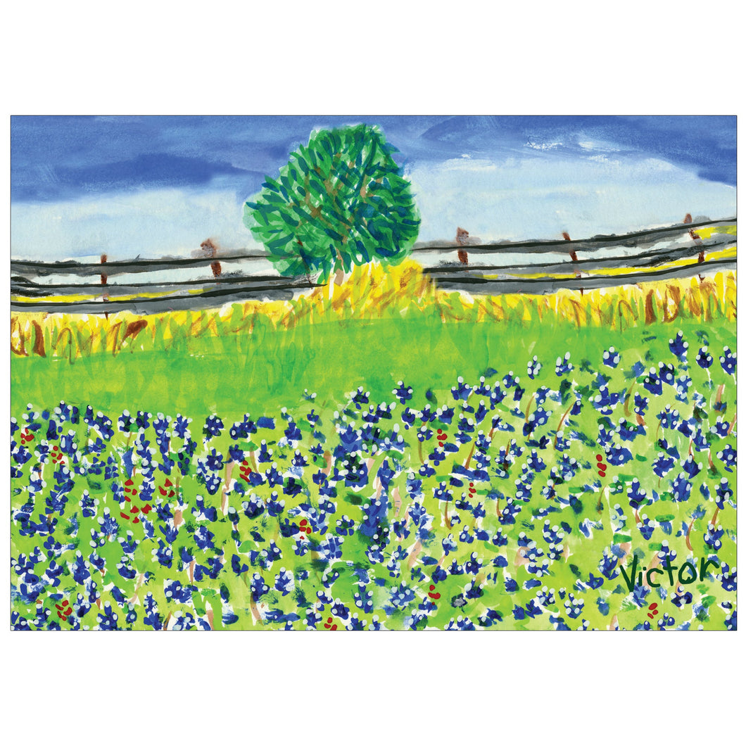 Field of Bluebonnets (POD)