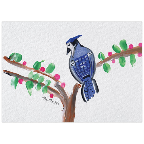 Blue Jay on Branch (POD)